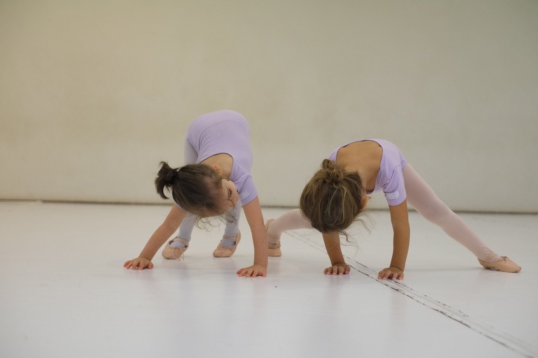 73399919_1388642041309424_7759445035447222272_n (1) 73399919_1388642041309424_7759445035447222272_n (1)